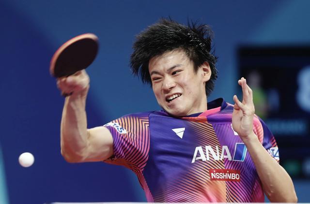 力马龙, msn 力马龙, msn